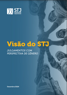 Visão do STJ